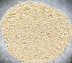 Black Gram Bean