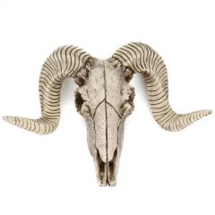 Antique Goat Head Skull Wall Hanging Sheep Head Skeleton Resin Crafts - Image 1