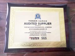 Audited Supplier certificate from YUOKO ELECTRONICS CO., LIMITED