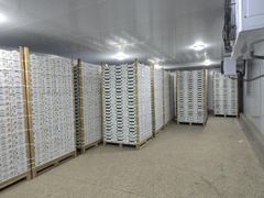 Company – thumbnail 23 of 29, supplier detail gallery