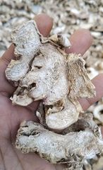 Dried ginger - Image 1