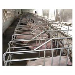 Factory Direct Pig Farm Equipment Pig Fattening Pen Finishing Crates Galvanized Steel Stall Animal Cage Pig Cage - Image 4