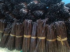 Vanilla Planifolia – product photo 2, product detail gallery