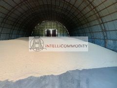 𝗣𝗿𝗲𝗺𝗶𝘂𝗺 𝗤𝘂𝗮𝗹𝗶𝘁𝘆 𝗬𝗲𝗹𝗹𝗼𝘄 𝗣𝗲𝗮𝘀 - Image 2