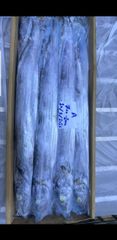 RIBBONFISH - Image 1