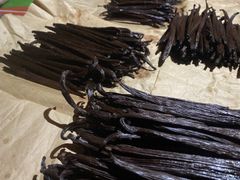 A Grade Thaitensis Vanilla Beans - Image 2