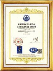 Honor certificate of Shandong Leo International Trading Inc. – certificate photo, supplier certificates section