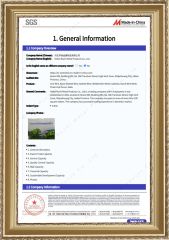 SGS certificate from Hebei Rochi Metal Products Co., Ltd