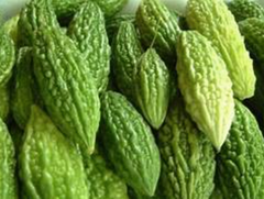 Bitter Gourd - Image 3