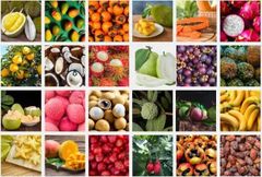 Fresh Fruits & Vegetables — Export from India - Image 2