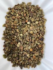 Vietnamese Arabica G3 – Green Beans (Origins: Son La, Quang Tri, Lam Dong) - Image 2