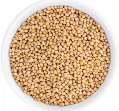 Spices Factory Wholesales high-quality kitchen seasonings mustard seeds yellow mustard seeds dried mustard with low price – product photo 2, product detail gallery