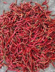 Dry Red Chilli - Image 2