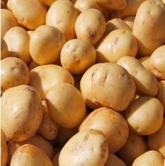 potato – product photo 2, product detail gallery