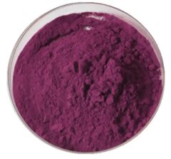 Natural Aronia Chokeberry Fruit Powder Juice Powder - Image 3