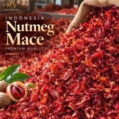 Indonesian Dried Nutmeg Mace - Premium Whole  Mace / Fuli Pala for Export Bulk Supply - Image 2
