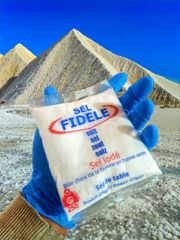 Fidele – 250 g refined Iodized Salt – High Purity Edible Grade | Food use ideal size for home cooking - Image 1