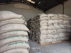 100% Arabica Single Origin Kenya Green Coffee – product photo 1, product detail gallery