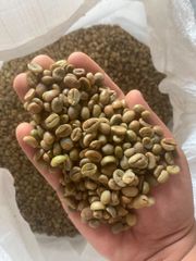 coffe beans - Image 1