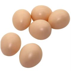 Fast Delivery Ross 308 Hatching Eggs for sale Premium Quality and trusted source for hatcheries order wholesale - Image 4