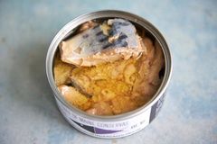 Premium canned mackerel bulk supply high quality factory price fast d - Image 2