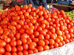Premium Fresh Tomatoes (Export Quality) – By Kenhar Enterprises | Perfect Quality - Image 4
