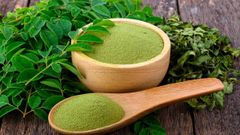Moringa Leaf Extract - Image 2