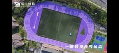 Through Multiple Checks Long-Lasting Color Rubber Running Track for Tournament - Image 2