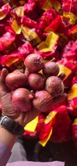 Onion – product photo 4, product detail gallery