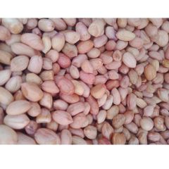 KACANG TANAH KERNELS GROUND NUT PEANUT FRESH ORGANIC PEANUT BUTTER PEANUT OFFER CHEAP PRICE - Image 2