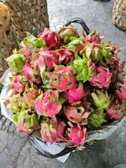 Fresh Dragon Fruit  - Indonesian Fresh Dragon Fruit with Vibrant Color, Refreshing Taste, and Excellent Quality - Image 2
