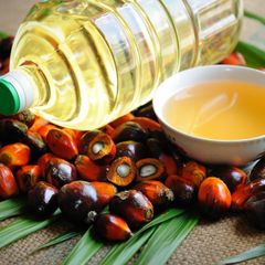 Refined Palm Oil for Restaurants and Catering Businesses Requiring Stable Cooking Performance - Image 2