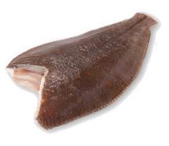 Atlantic Plaice pan ready - Image 1