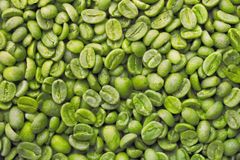 Pure & Powerful: Green Coffee Bean – product photo 1, product detail gallery