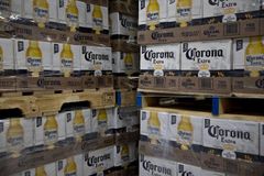 Corona Extra Mexican Lager Import Beer, 4.6% ABV, Cans, 24 pk./12 fl. oz. for Wholesale export worldwide - Image 2