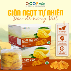 Xoài sấy dẻo - Soft Dried Mango – product photo 1, product detail gallery