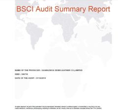BSCI Approved #346718 by ABS certificate from Guangzhou Zexin Leather Co., Ltd.