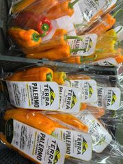 FRESH PALERMO VIETNAM - Image 3