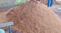 Cocopeat Bulk - Image 2