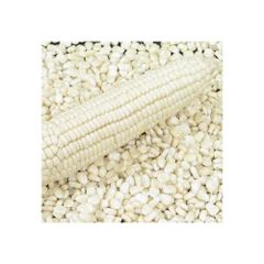 High Volume Corn Supply frozenchickenexports.com - Image 3