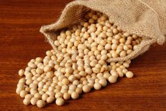Organic Dried Soya Bean From Manufacturer Wholesale Price Healthy Ingredients From India High Quality Pulses - Image 1