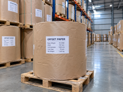 Offset Paper / Printing Paper Jumbo Roll - Image 2