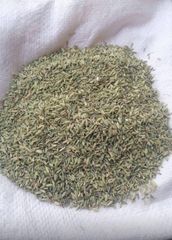 Fennel Seeds - Image 1