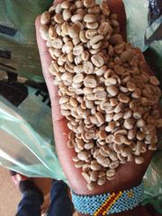 Fullwashed, specialty coffee (NATURAL, Anaerobic and Honey) - Image 2