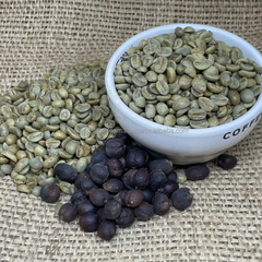 Arabica Catimor Green coffee bean Specialty High Quality Reasonable Price Vietnam Green Coffee Beans New Crop 2023-2024 – product photo 1, product detail gallery