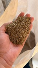 cumin seeds – product photo 3, product detail gallery