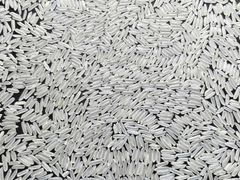 Jasmine Rice - Image 5