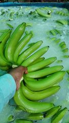 Banana – product photo 1, product detail gallery