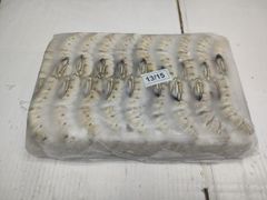 SELL  HLSO FROZEN VANNAMEI SHRIMPS / BLACK TIGER SHRIMPS – product photo 4, product detail gallery