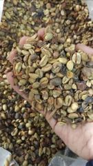 Coffee Beans - Image 1